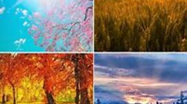 Timeline: le stagioni