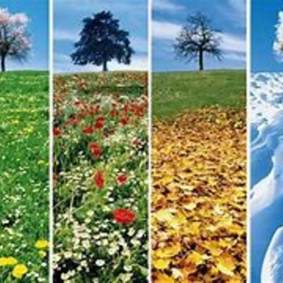 Timeline: Le stagioni