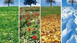 Timeline: Le stagioni