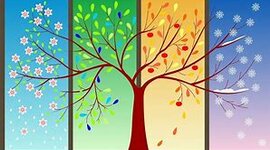 Timeline: Le stagioni