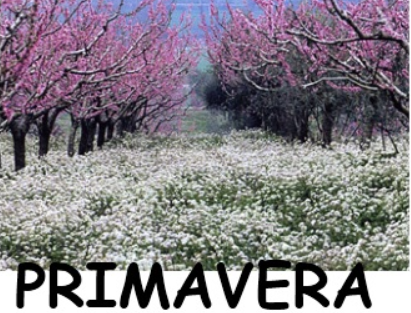 Primo giorno di primavera