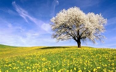 Primo giorno di primavera