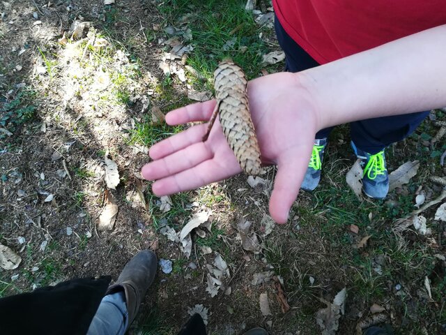 Scienze: Laboratorio all'aperto