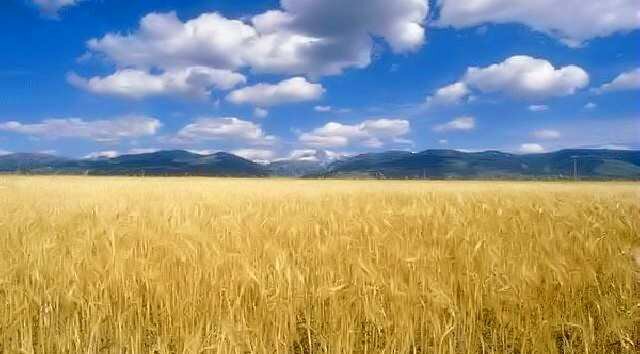 Primo giorno d'estate