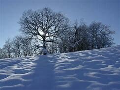 Primo giorno di inverno