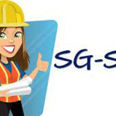 Timeline: Evolución SGSST