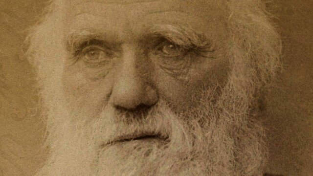 La mort de Darwin