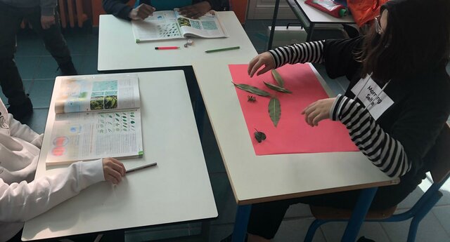 Scienze: Lavoro cooperativo