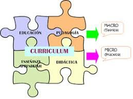 Componentes Teóricos de la pedagogía.