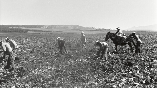 Ley de Bases de la Reforma Agraria