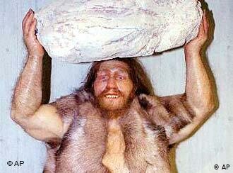 HOMO NEANDERTHALENSIS