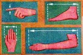 ELEMENTO DE LAS UNIDADES DE MEDIDA