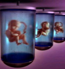 Fertilización en Vitro