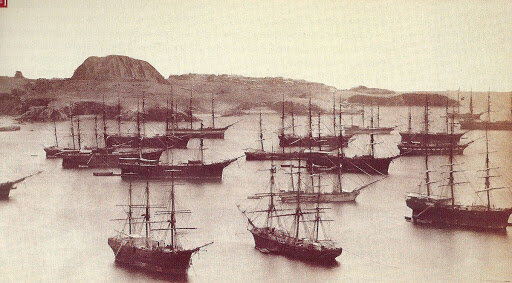 Una expedición científica española arribo las costas de América