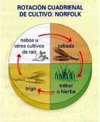 Transformaciones agrarias en Gran Bretaña