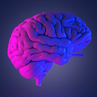 Timeline: HISTORIA DE LA NEUROPSICOLOGÍA