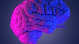 Timeline: HISTORIA DE LA NEUROPSICOLOGÍA