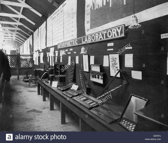 Primer laboratorio antropométrico