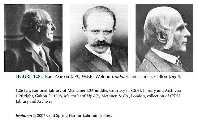 Galton, Pearson y Weldon