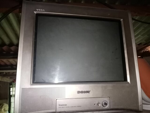 Our First Television