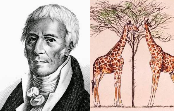 Lamarck - Philosophie Zoologique
