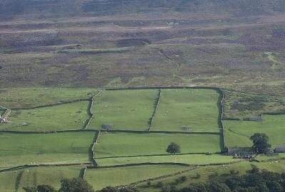 Leyes de cercamiento