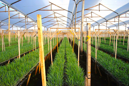 Trabajo por primera vez