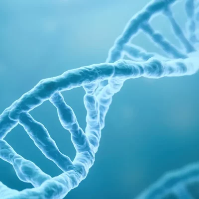 Timeline: Principales descubrimientos del ADN