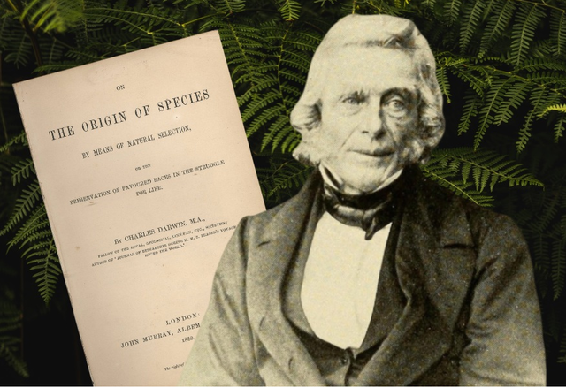 Patrick Matthew - ¿Construcción naval y arboricultura?