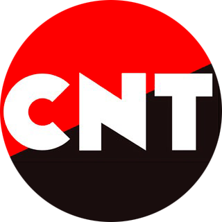 Suspensión de la CNT