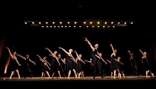 Fundação Studio PLESS