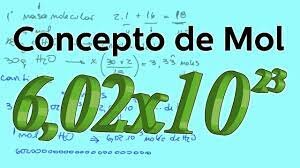 La creación del término