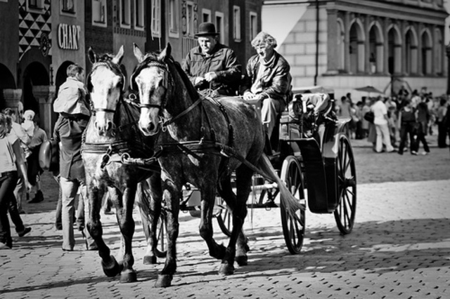 Royal Family Trying To Escape