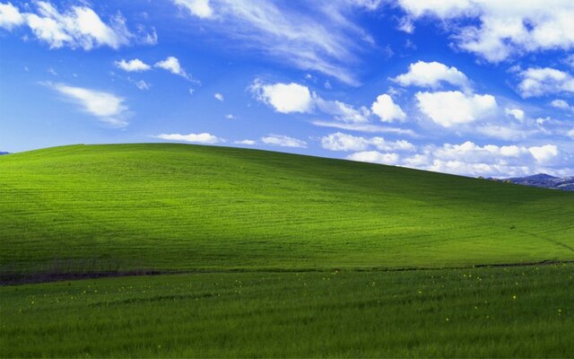 Windows XP