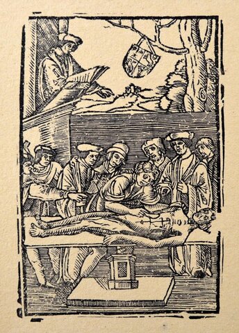 Mondino di Luzzi (1275 - 1326)