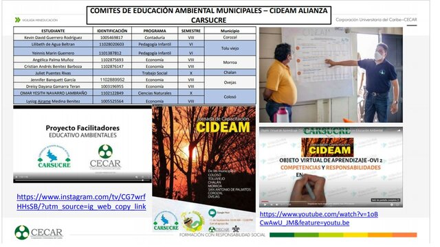 Participación en CIDEAM