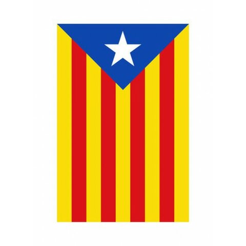 ES VA DECLARAR LA INDEPENDENCIA DE CATALUNYA