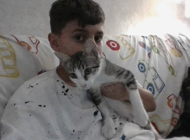 Vaig adoptar el meu gat