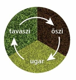 Háromnyomásos gazdálkodás kialakulása