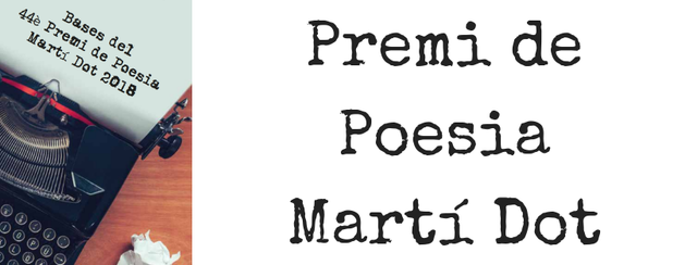 Premi literari Martí Dot per "No et puc dir res"