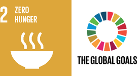 Timeline: Zero Hunger Project