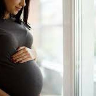 Timeline: El procés embrionari humà