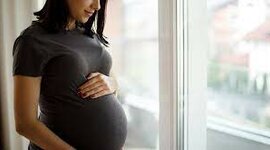 Timeline: El procés embrionari humà