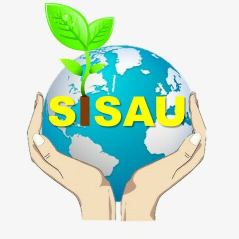 Creación Semillero de investigación SISAU