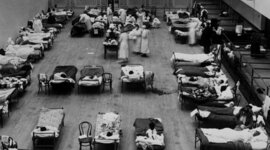 Timeline: Gripe Española