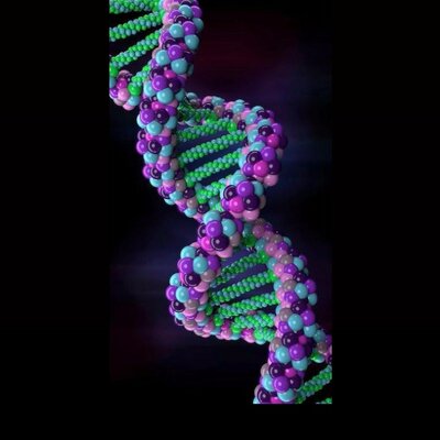 Timeline: Inicio de la genética hasta el descubrimiento del ADN