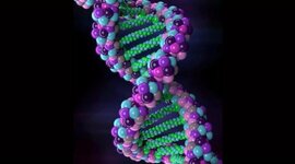 Timeline: Inicio de la genética hasta el descubrimiento del ADN