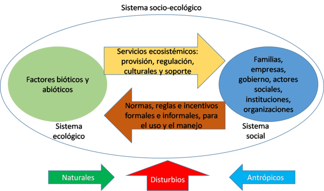 Modelo Causal Ecológico