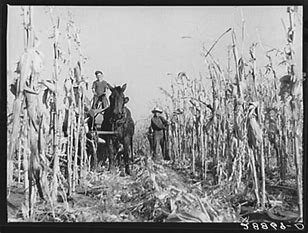 World War II to Modern Times