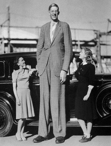 The tallest person in history